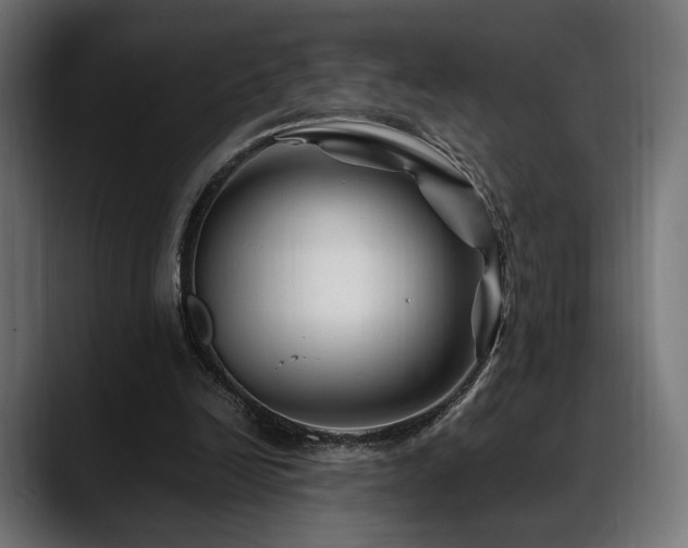 X0000088620246200705251247