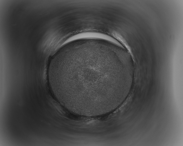 X0000088620249200705251247