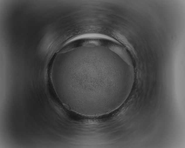 X0000088620250200705251247