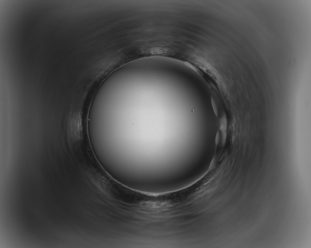 X0000088620251200705251247
