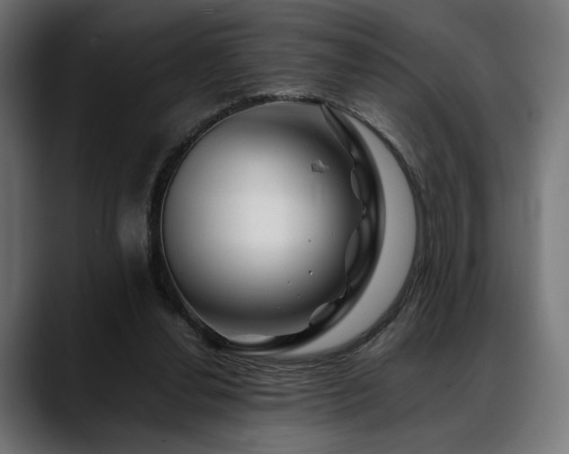 X0000088620252200705251247