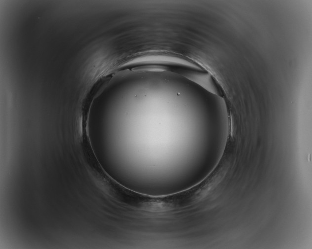 X0000088620253200705251247