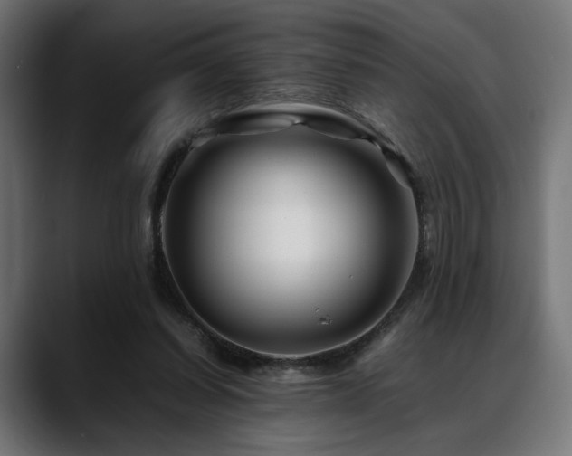 X0000088620254200705251247