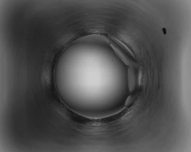 X0000088620255200705251247