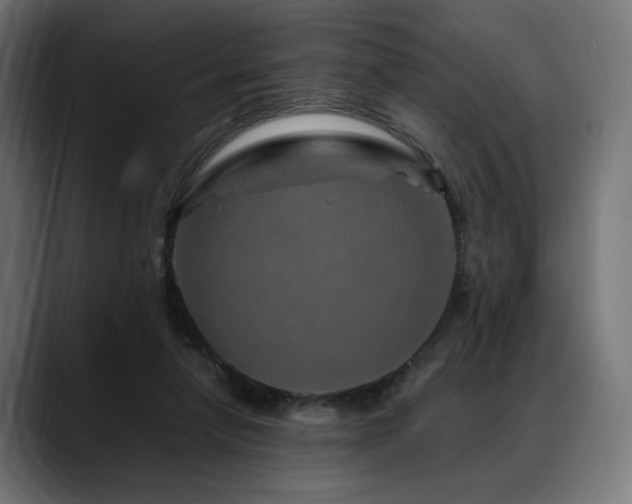 X0000088620258200705251247
