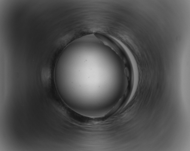 X0000088620260200705251247