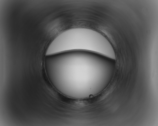 X0000088620261200705251247