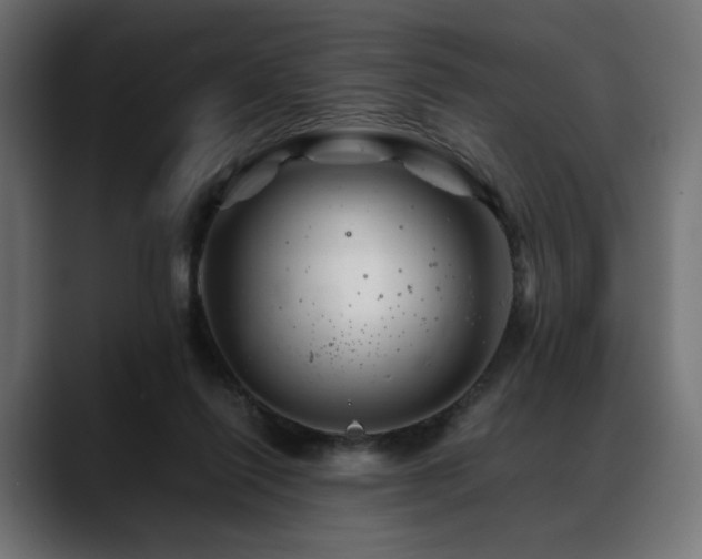 X0000088620262200705251247