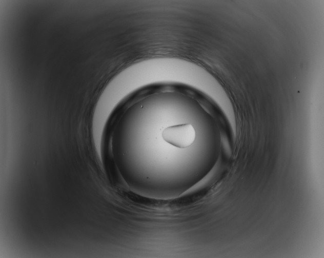 X0000088620264200705251247