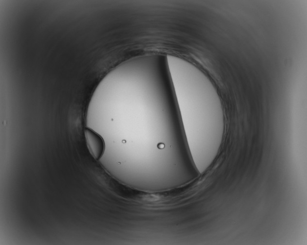 X0000088620265200705251247