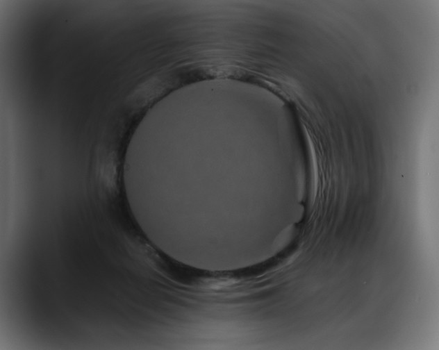X0000088620266200705251247