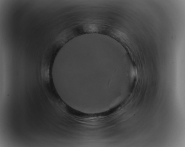 X0000088620267200705251247