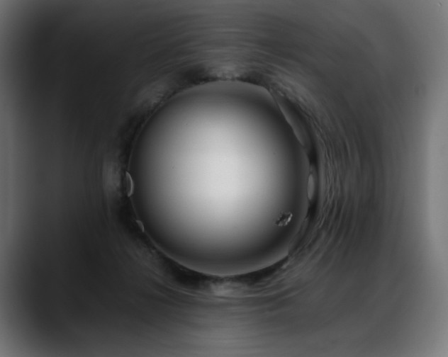 X0000088620268200705251247