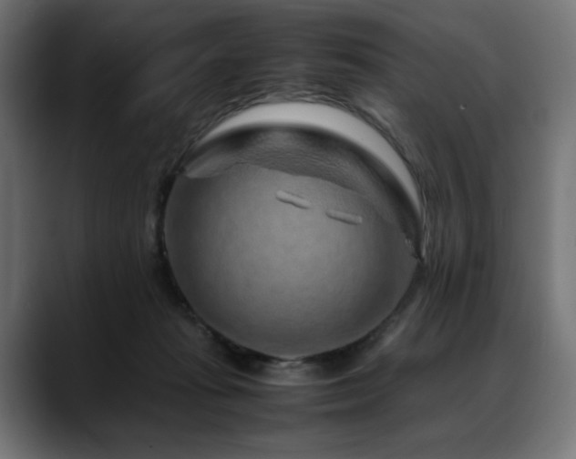 X0000088620269200705251247