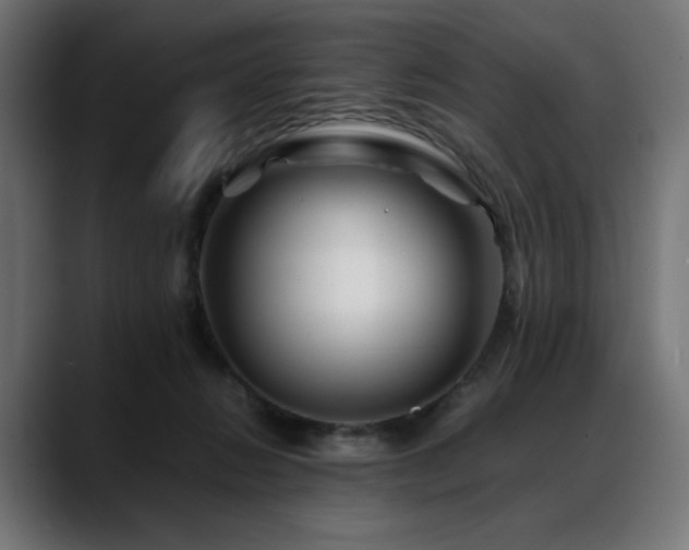 X0000088620270200705251247