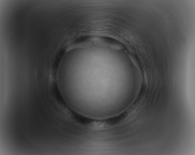 X0000088620272200705251247