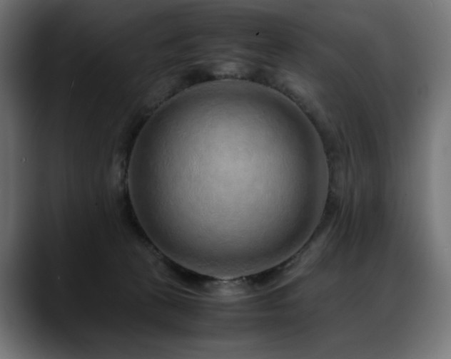 X0000088620273200705251247