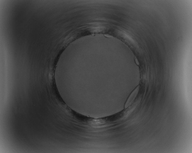 X0000088620277200705251247