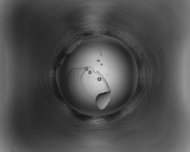 X0000088620278200705251247
