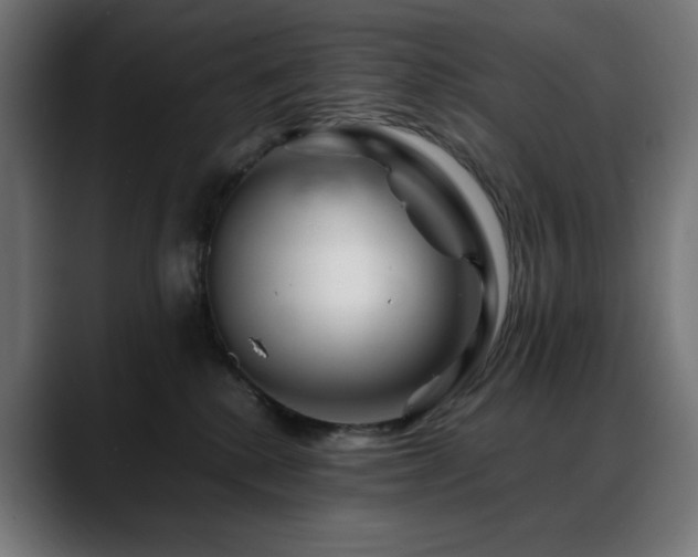 X0000088620280200705251247