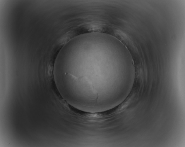 X0000088620281200705251248