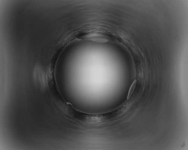 X0000088620282200705251248
