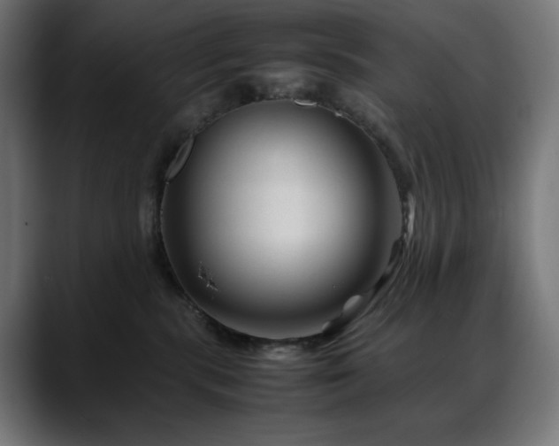 X0000088620283200705251248