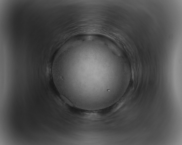X0000088620284200705251248