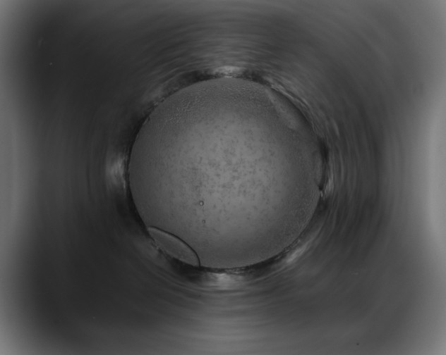 X0000088620286200705251248