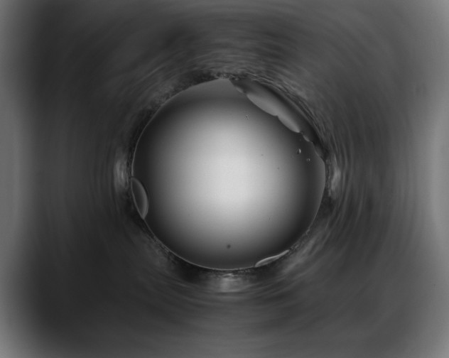 X0000088620287200705251248