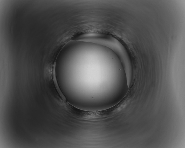 X0000088620288200705251248
