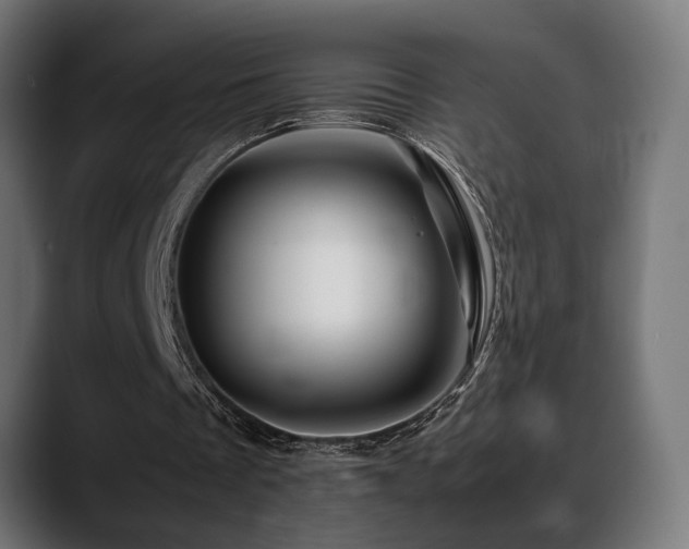 X0000088620289200705251247