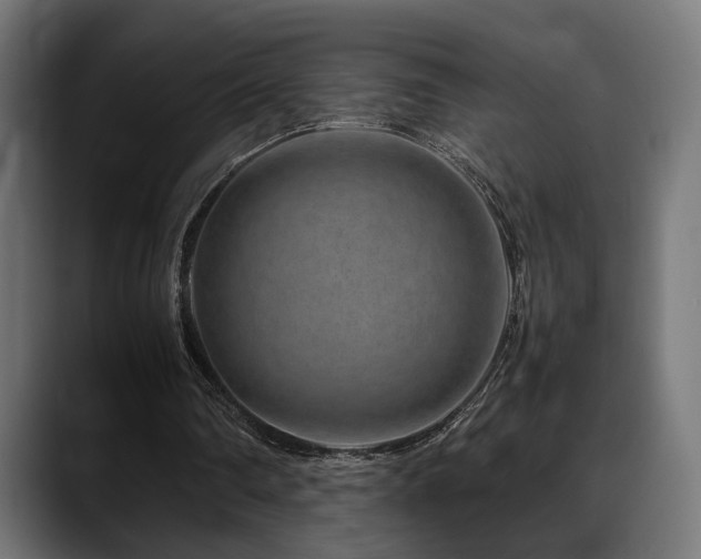 X0000088620290200705251247