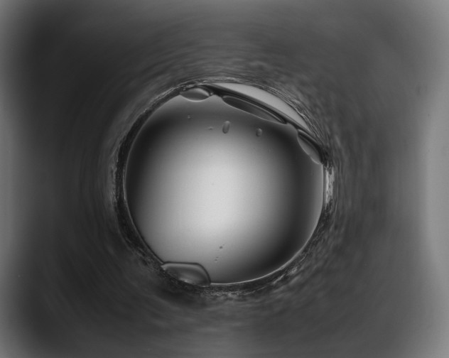 X0000088620291200705251247