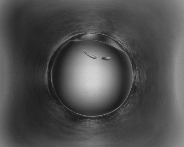 X0000088620292200705251247