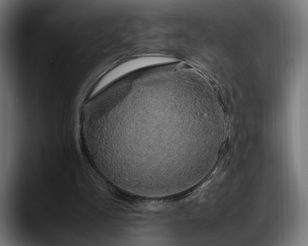 X0000088620293200705251247
