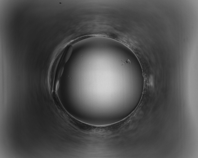 X0000088620294200705251247