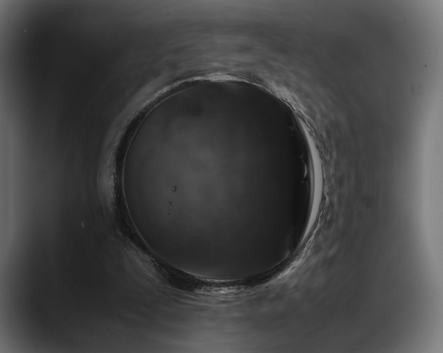 X0000088620295200705251247