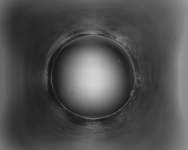 X0000088620296200705251247