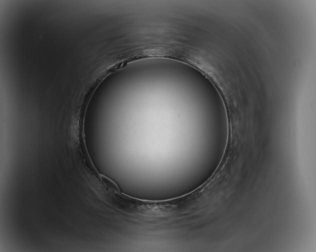 X0000088620297200705251247