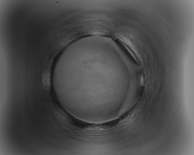 X0000088620299200705251247