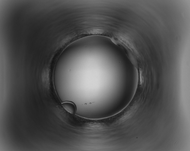X0000088620300200705251247