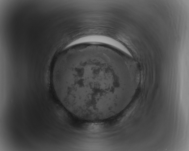 X0000088620303200705251247