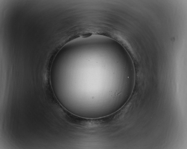 X0000088620305200705251247