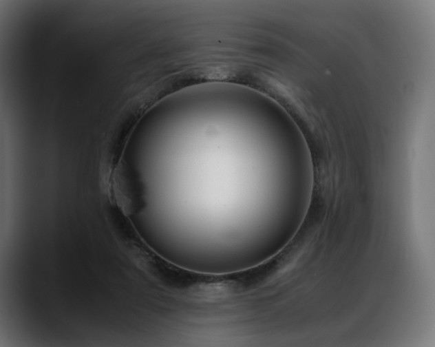 X0000088620307200705251247
