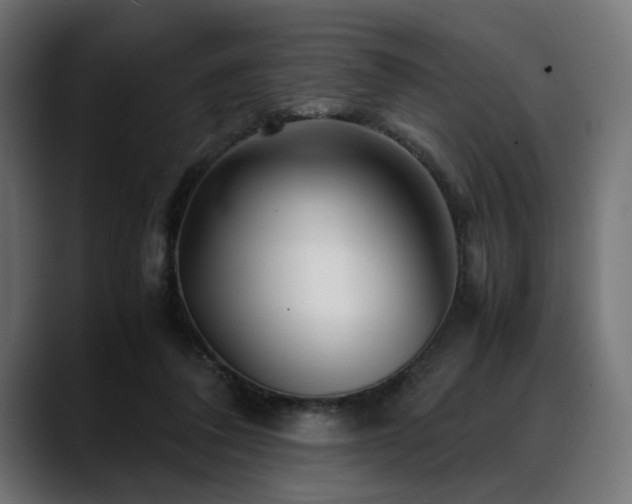 X0000088620308200705251247