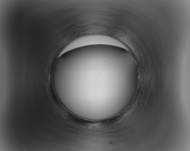 X0000088620309200705251247