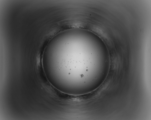 X0000088620310200705251247
