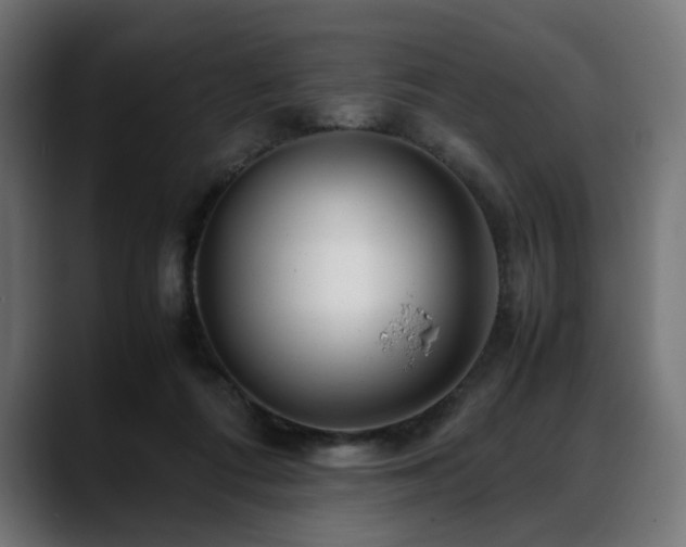 X0000088620312200705251246