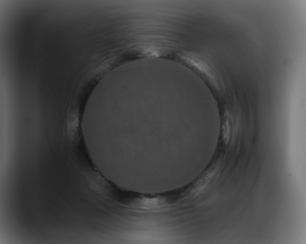 X0000088620314200705251246